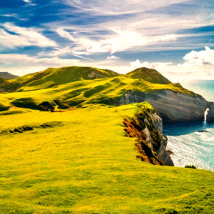 shutterstock_431693263